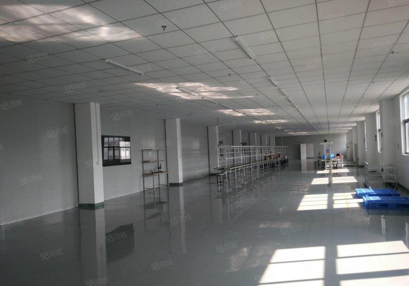 福永新和新出楼上1100平米带装修招租厂房出租