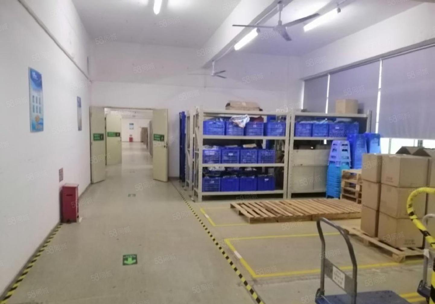 松岗罗田楼上红本厂房出租1481平带精装修办公室