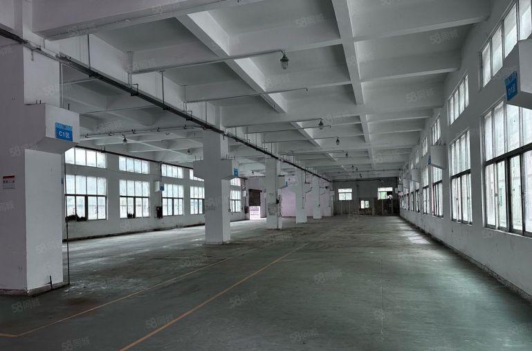 松岗红星南岸工业区村委厂房出租一楼1500平米高度6米可分组