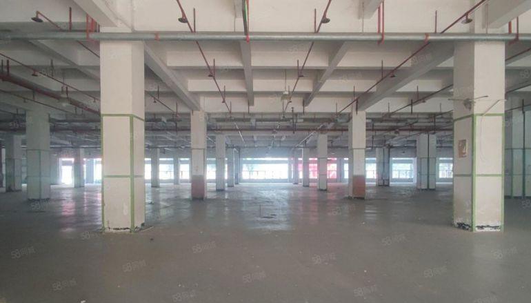 松岗塘下涌工业园原房东一楼500平方厂房仓库超大空地前后开门