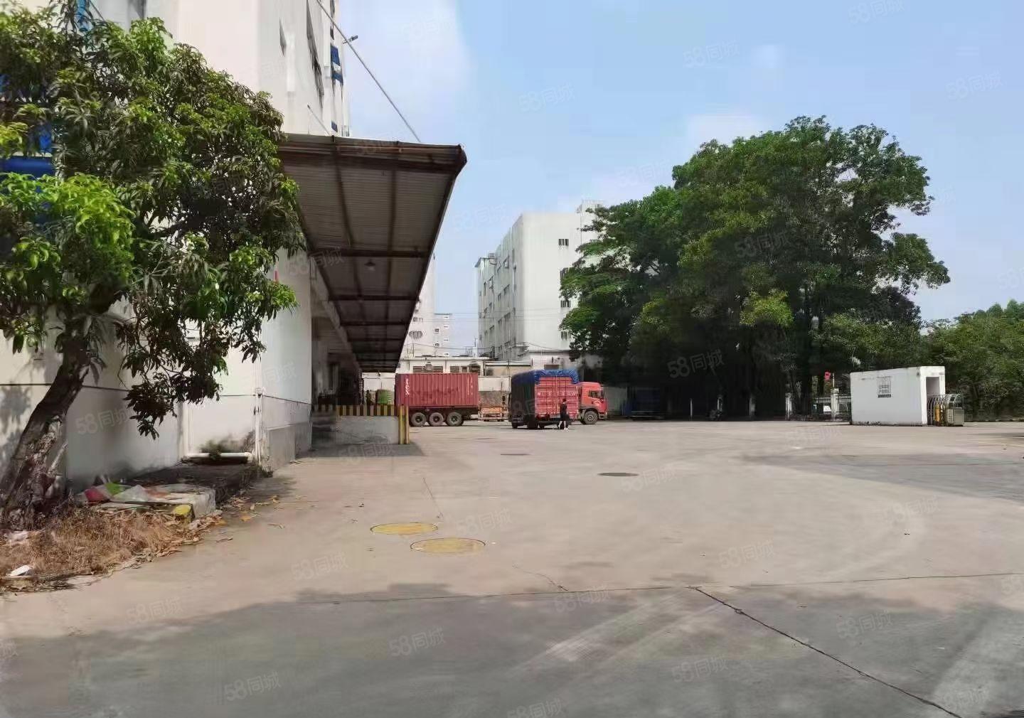 宝安西乡1000平方起租原房东厂房