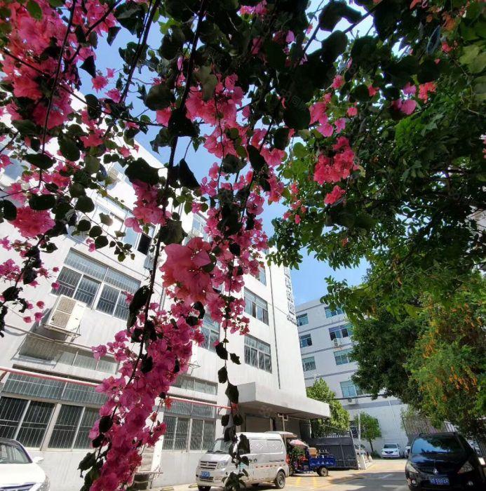 兴东地铁站旁办公研发厂房450平精装修，地铁近在咫尺