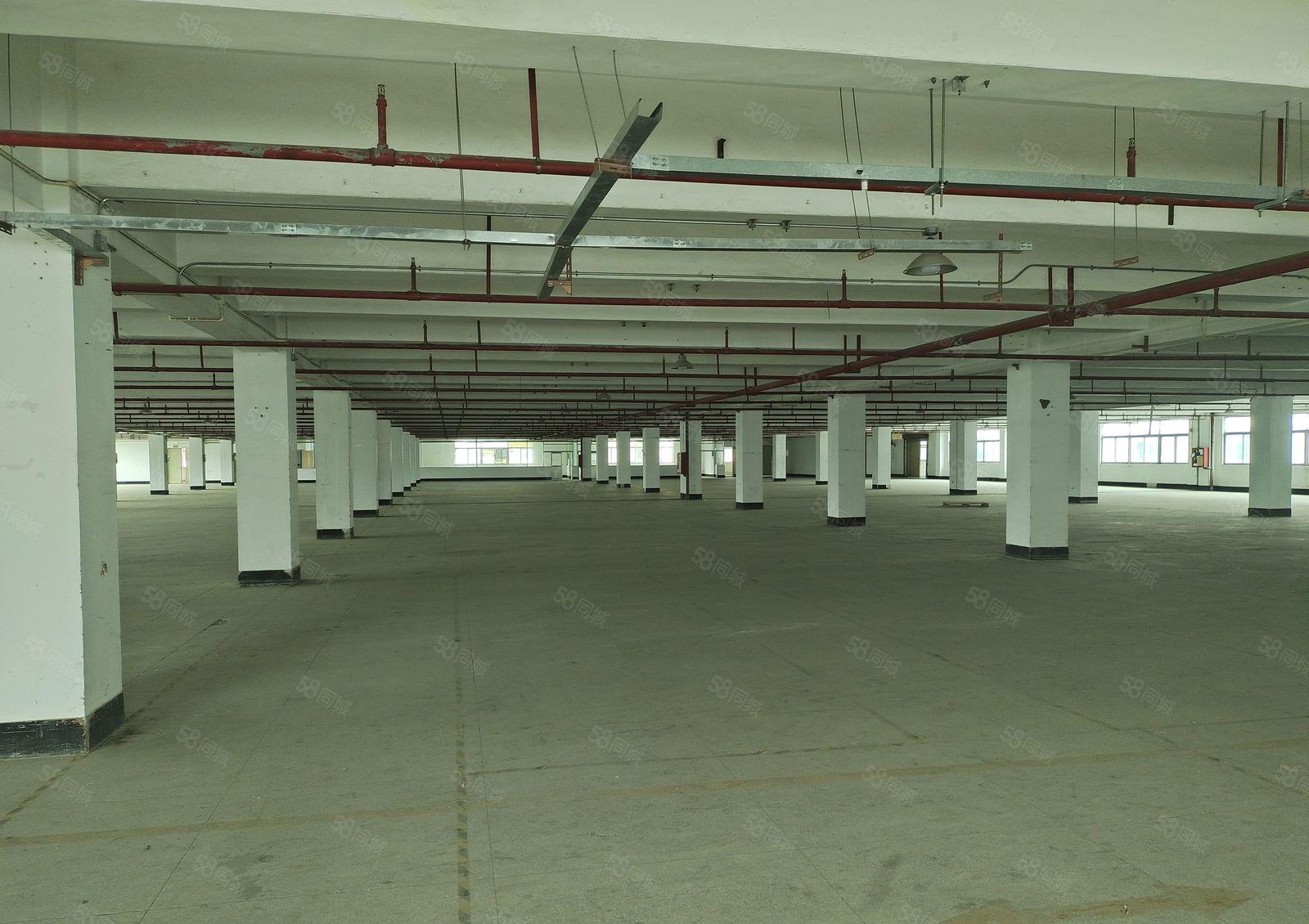 福海盛和兴工业园厂房仓库出租