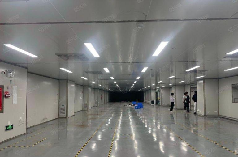 西乡原房东空地大红本独院厂房11000平无尘车间仓库出租