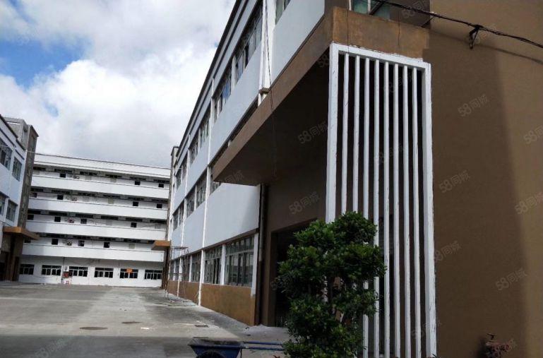 石岩汽车站新出原房东独门独院3500平方厂房出租