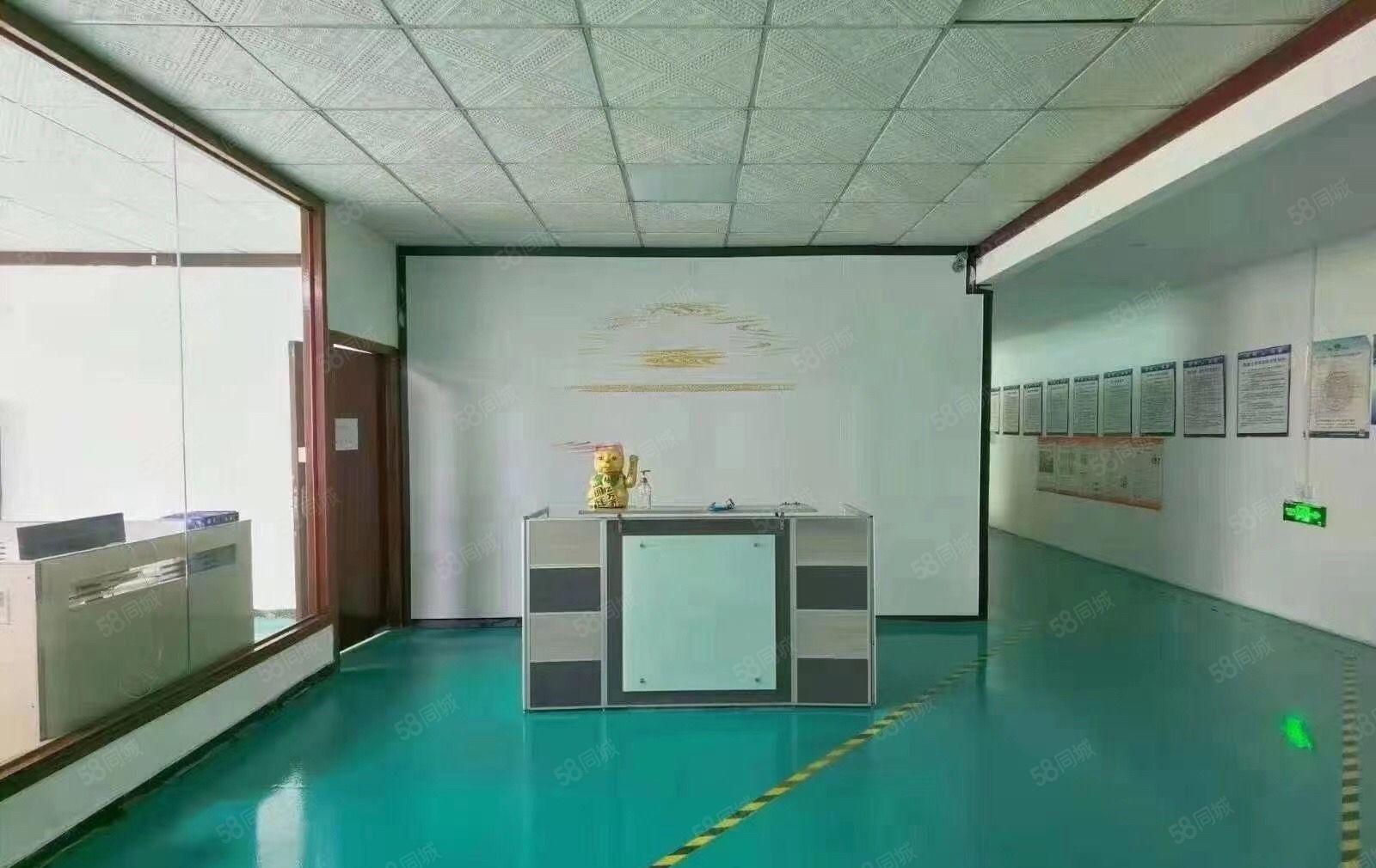 沙井600平精装修厂房出租仓库招租低价租水电到位