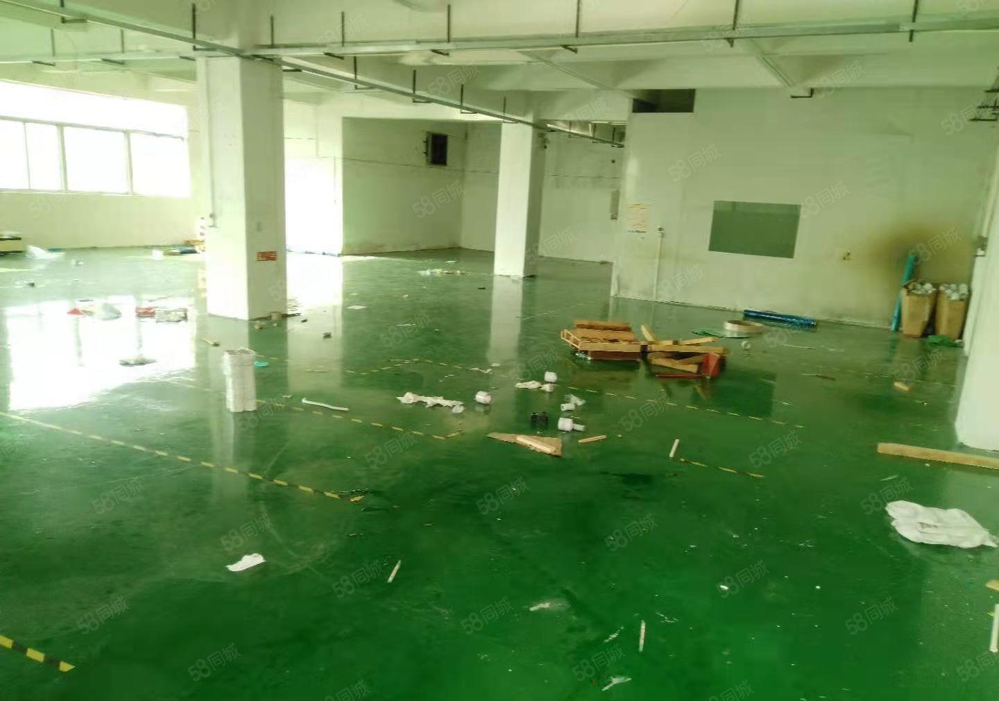 沙井新桥高速路口楼上280平米厂房招租