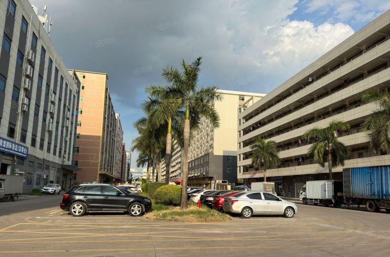 福永独院整层3000平带红本300平起厂房出租 大小仓库出租