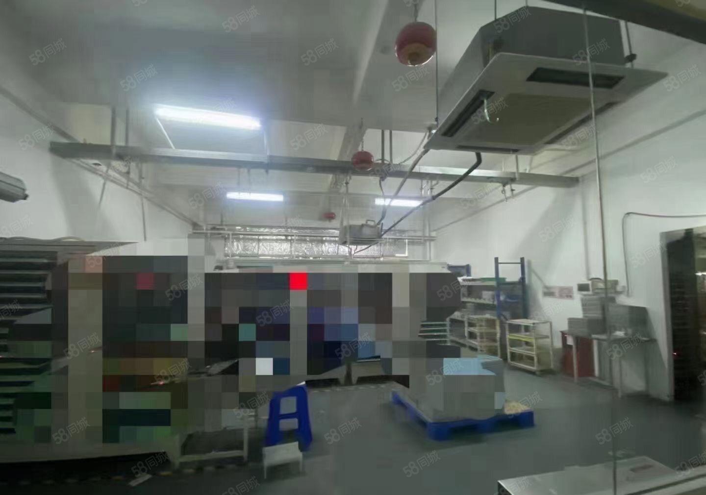 松岗燕川新出原房东厂房楼上1828平方