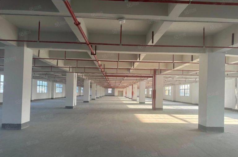 合同十年 西乡固戍地铁口独门独院7700平村委厂房出租可分租