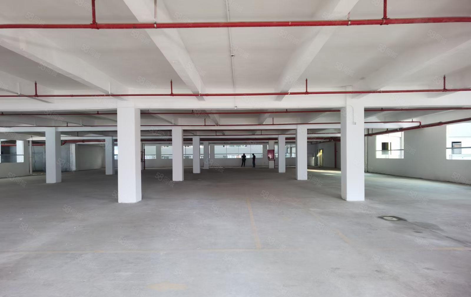 沙井益华电子城附近新出独门独院5600平方出租，业主直租