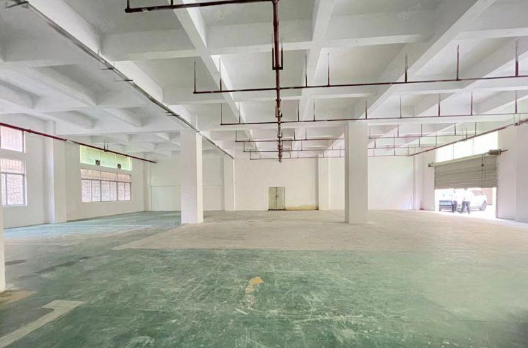 特价36元，西乡九围簕竹角，一楼带装修765平厂房，层高6米