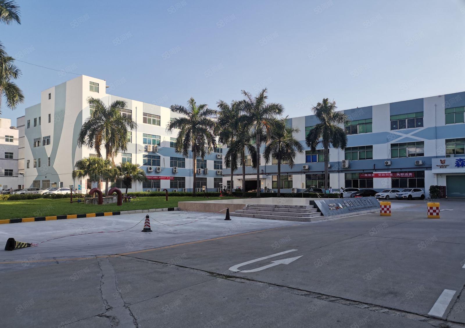 福永桥头新出20元楼上800平豪华装修无转让费