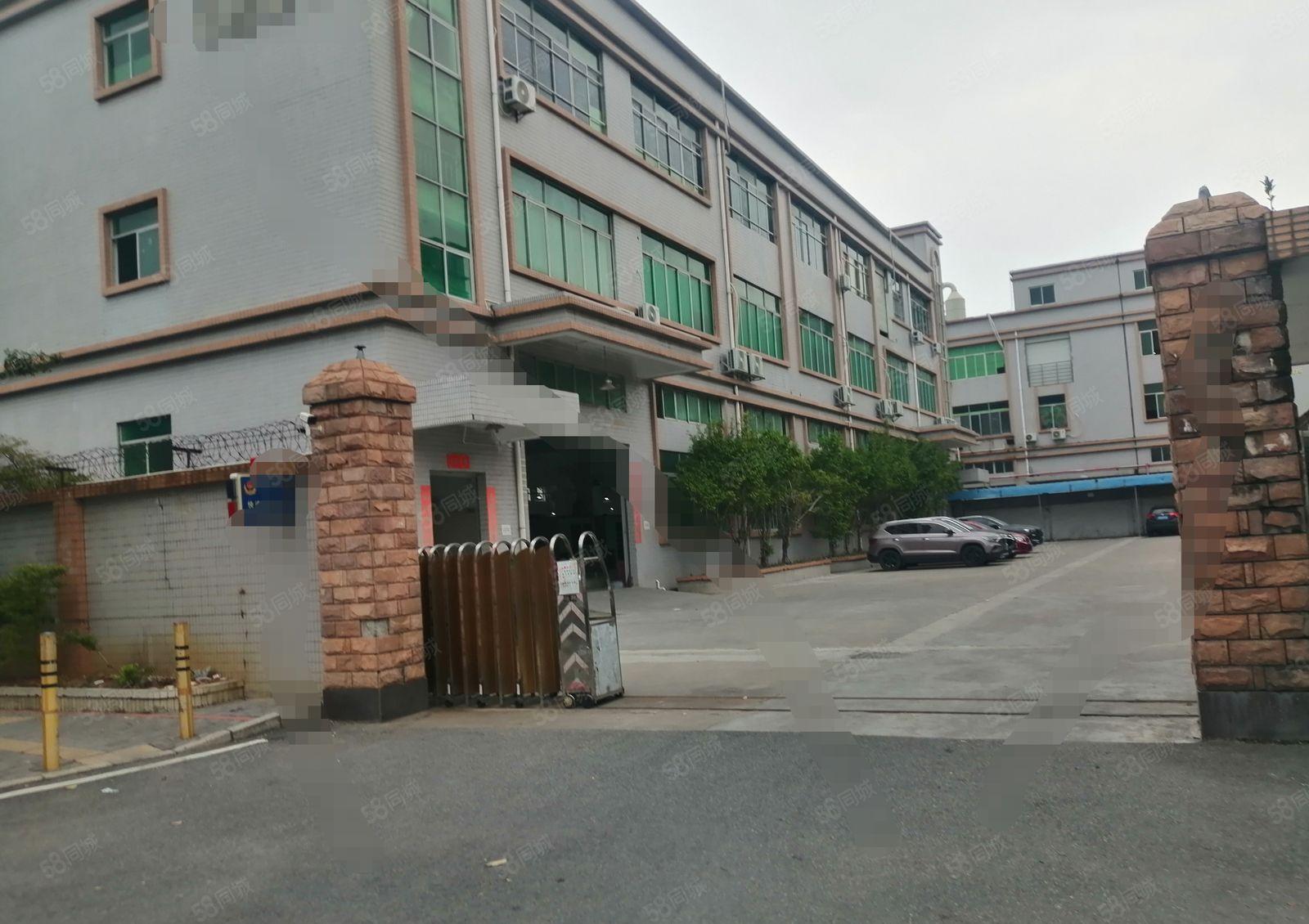 沙井镇新和大道共和附近村委三层楼独院厂房4200平方
