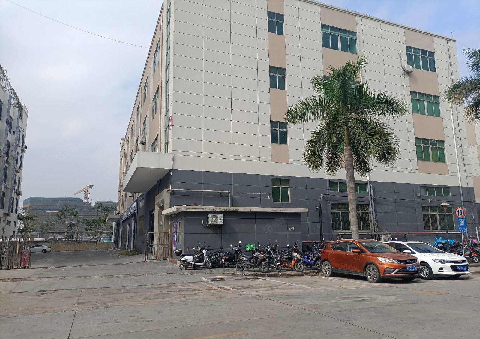 松岗地铁站红本厂房出租1300平办公仓库厂房出租分租可办环评