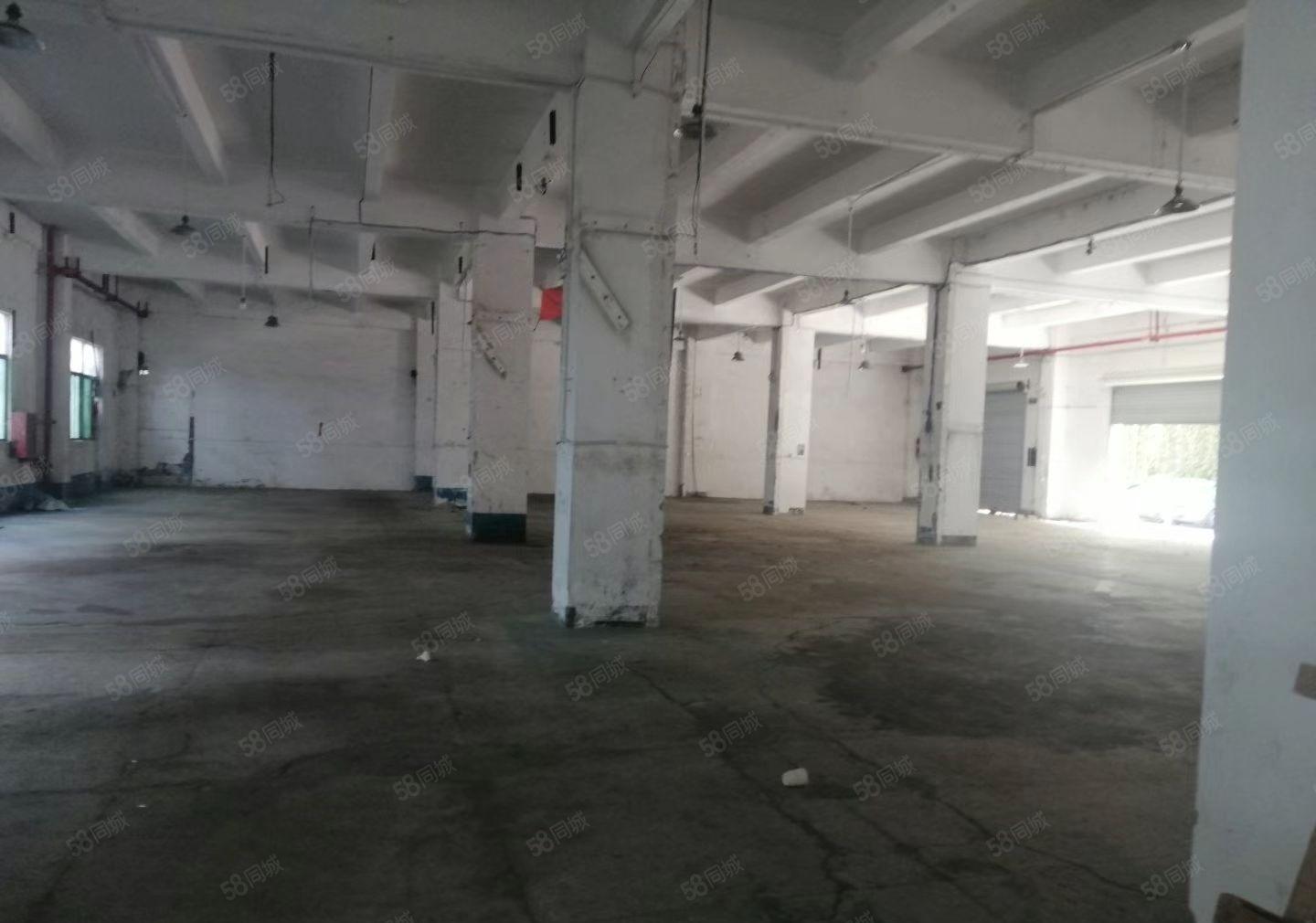 （出租）固戍一楼厂房1050平1300平1600平大小可分租