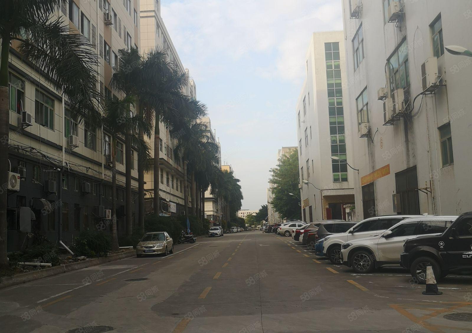 福永和平新出楼上整层1200平米带装修厂房出租