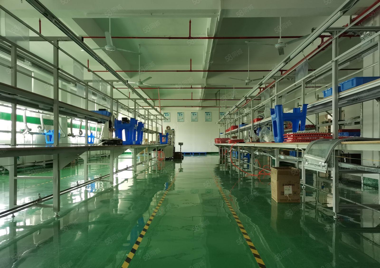 福永桥头新出20元楼上800平豪华装修无转让费