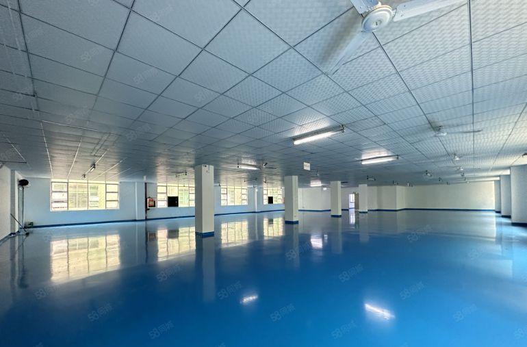 石岩乐华工业区2000平精装修办公厂房出租一楼仓库可分租