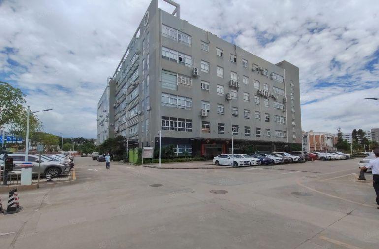 松岗原房东红本厂房 单层面积5000平方仓库出租国道旁空地大