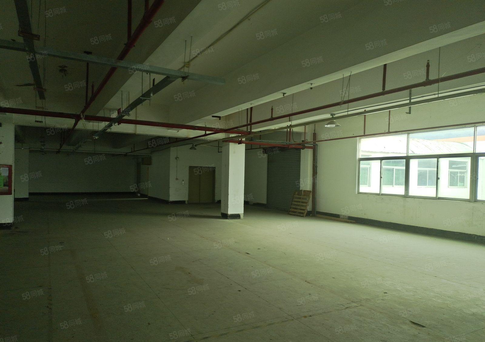 福海盛和兴物流园厂房仓库出租