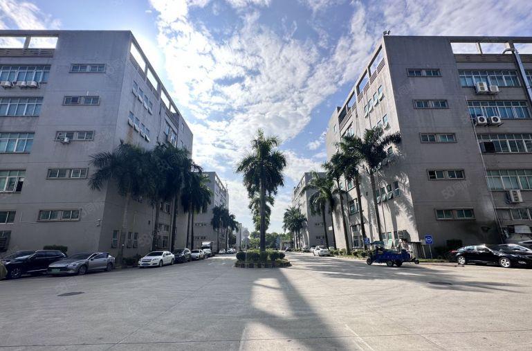 沙井德普电子城精装修1000平精装修办公室厂房电商仓库出租