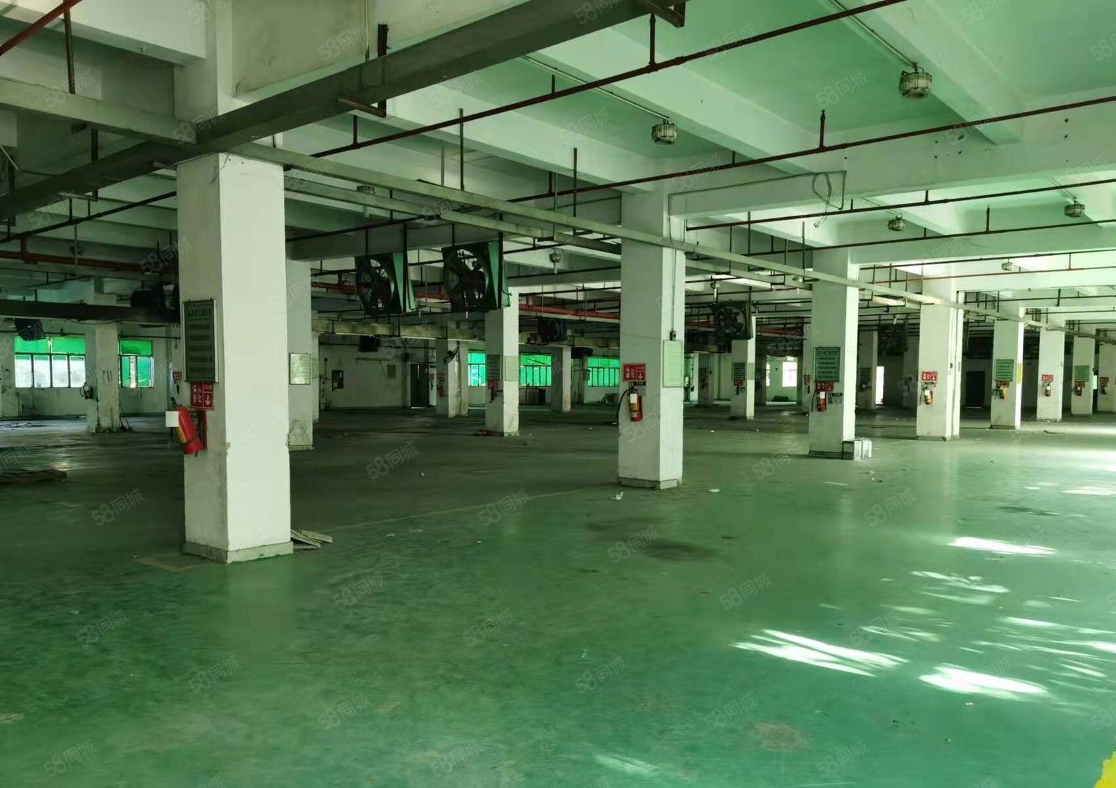 松岗仓库出租12000平可长租短租价格实惠300起租