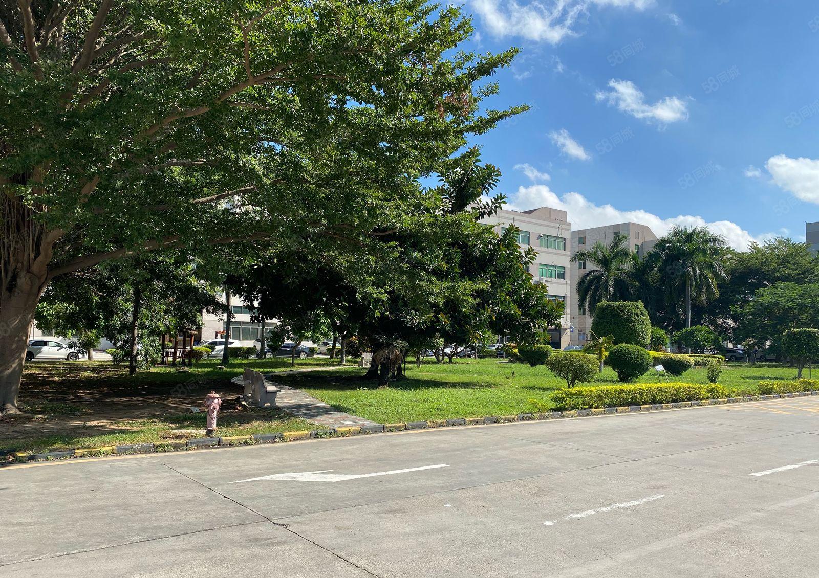 福永塘尾2200平米无尘车间精装厂房低价出租