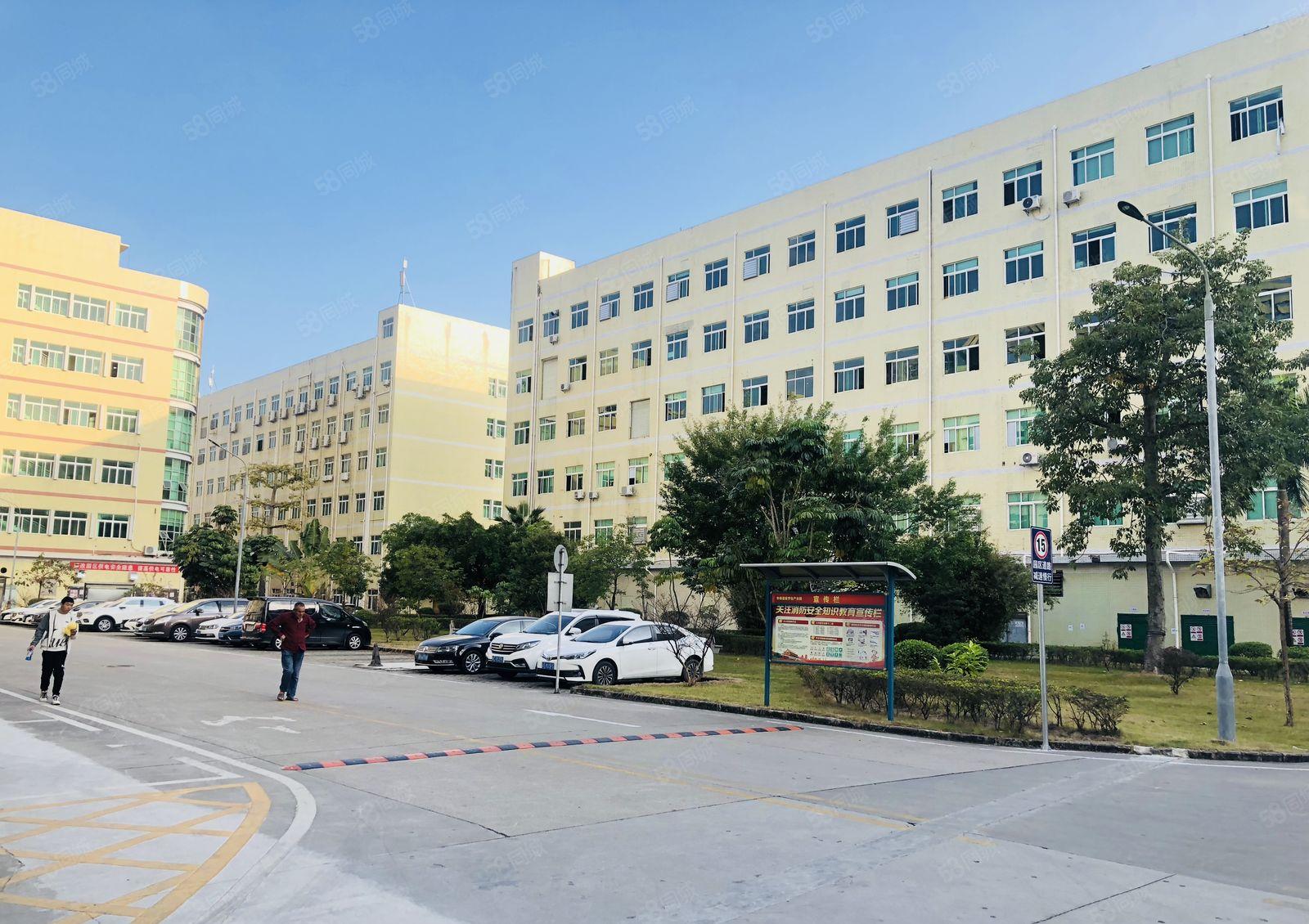 3吨货梯带吊机口松岗原房东山门工业区楼上1100平厂房招租