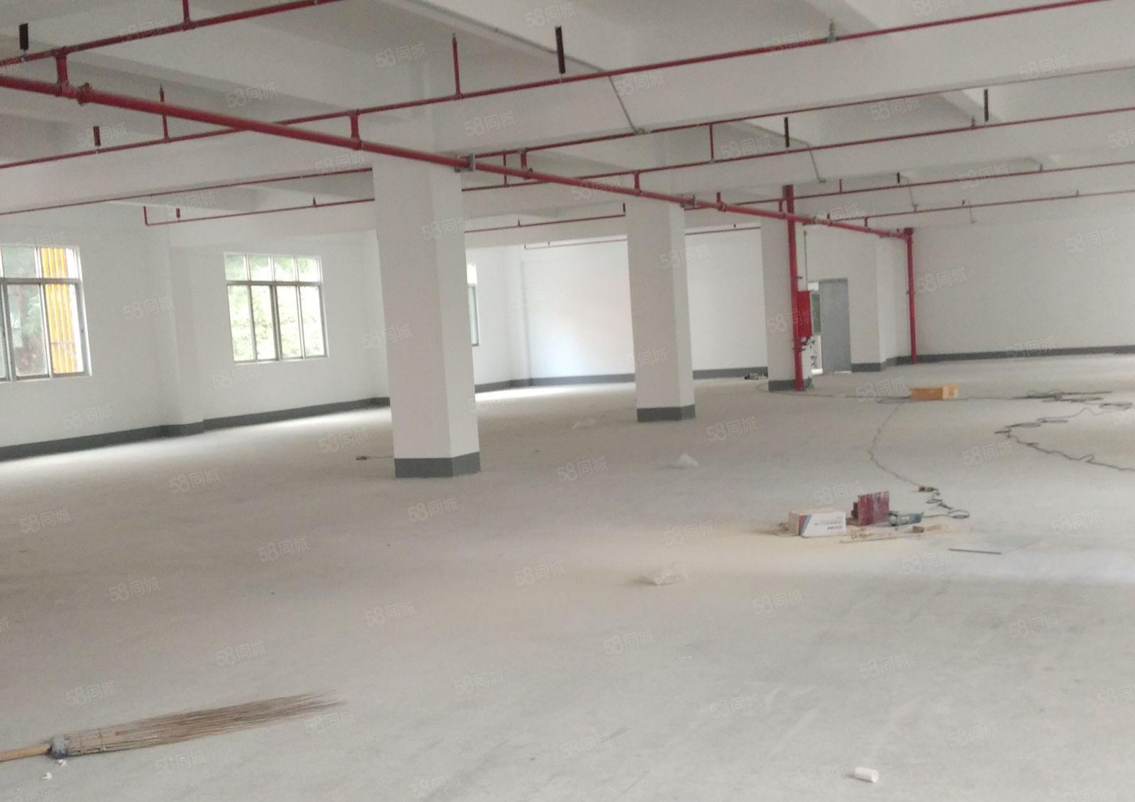 西乡固戌大门村委厂房一二楼各815平，可单租一层