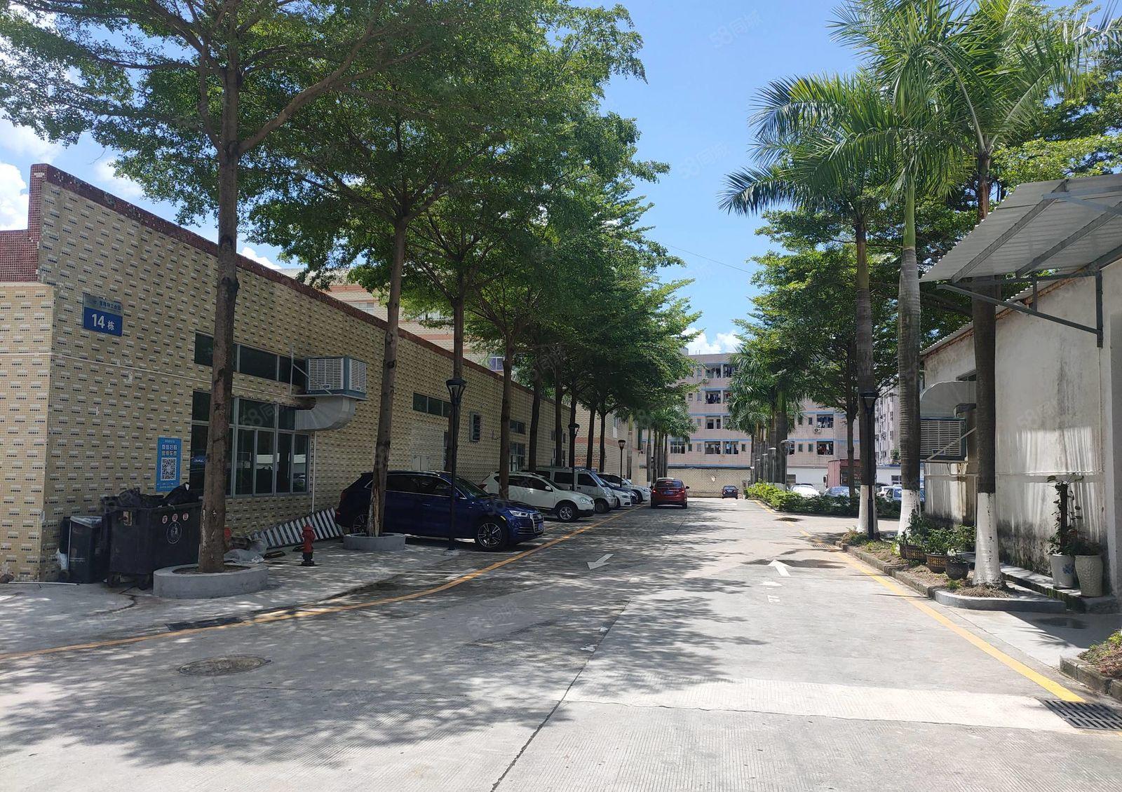 沙井工业园2300平厂房出租可分租带装修独院一楼仓库出租