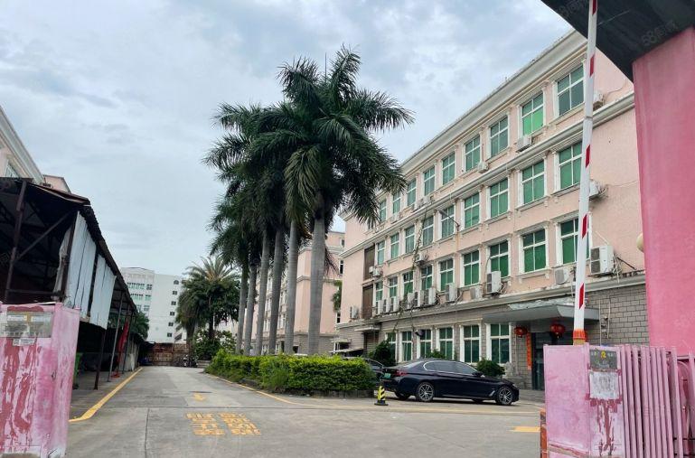 西乡主干道2万平工业区一楼6米高村委厂房出租升级改造无公摊