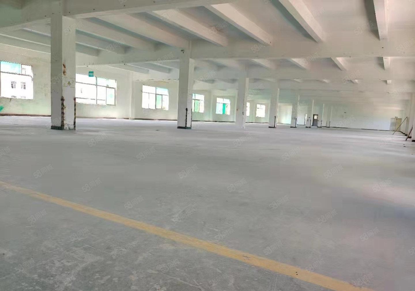 原房东直租松岗燕罗独院8800平仓库厂房空地大交通便利可分租