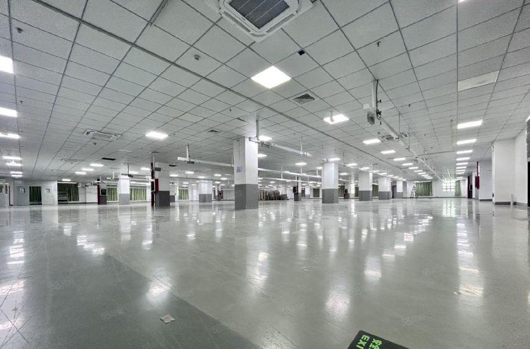 福永厂房5000平方仓库厂房出租 可分租500平起