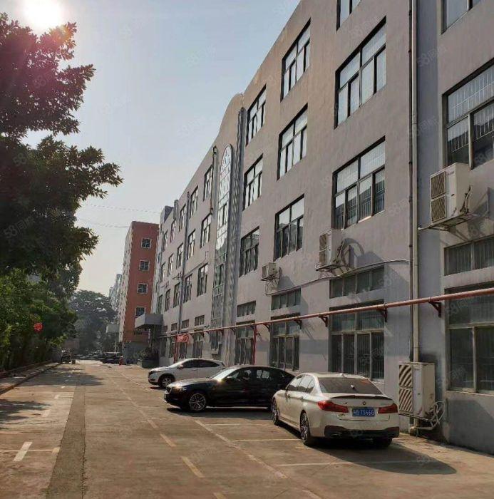 兴东地铁站旁办公研发厂房450平精装修，地铁近在咫尺