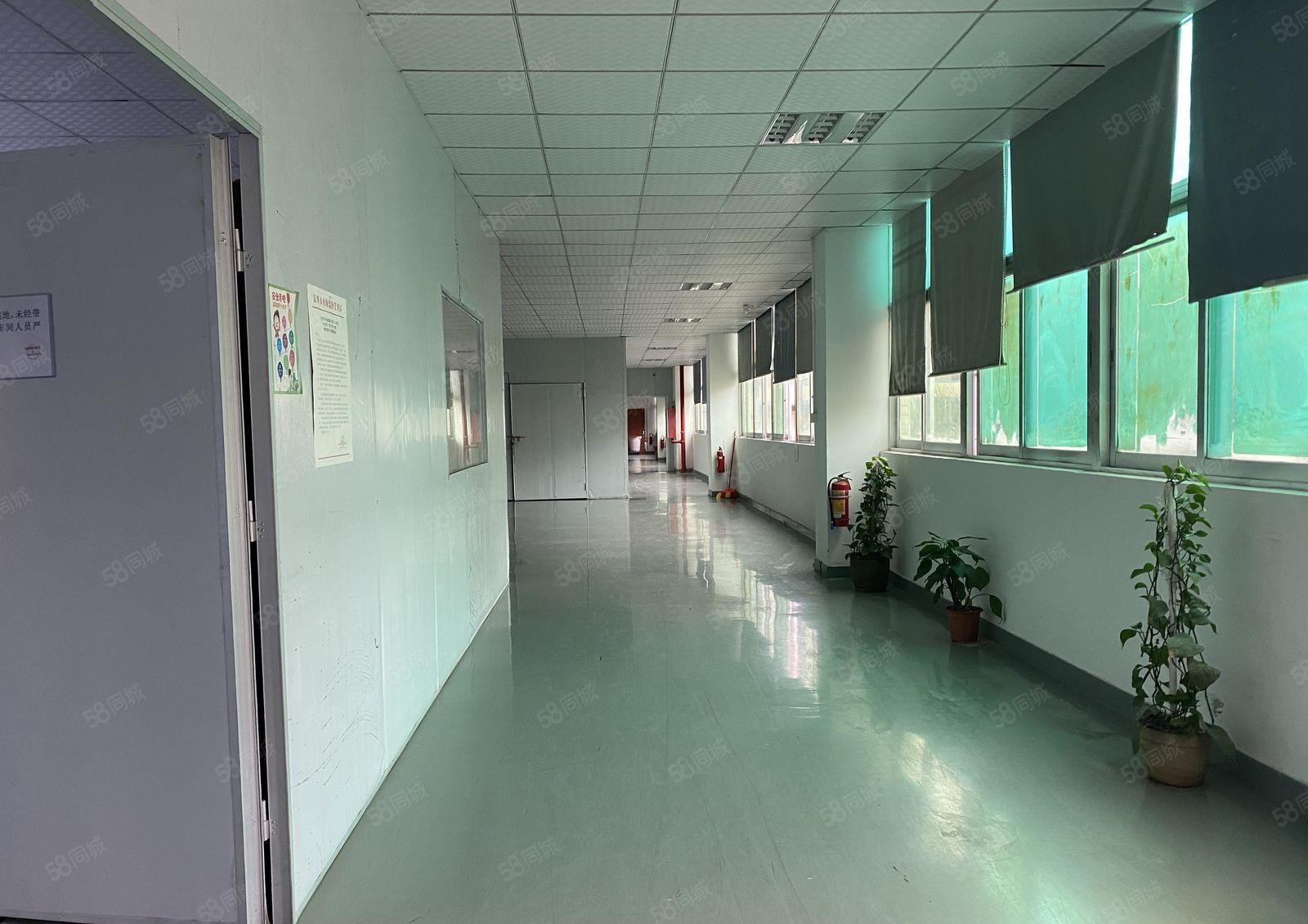 西乡九围大型工业园精装修厂房出租900平出租