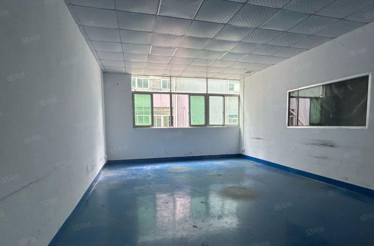 低价厂房出租石岩原房东600平带精装修无转让费仓库大小分组