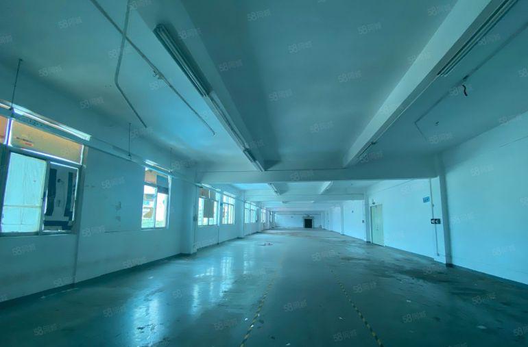 扶持企业发展宝安区特价小面积100500起政府指导价