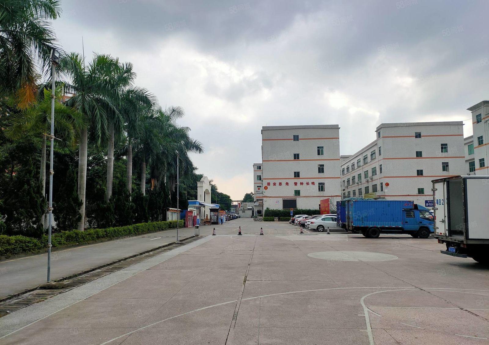 石岩红本精装修1300平厂房出租可分租工业园低价仓库出租