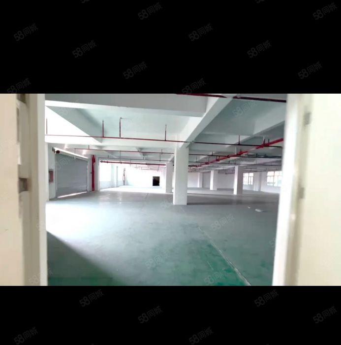 西乡厂房100平120平150平200平至800平20元1平