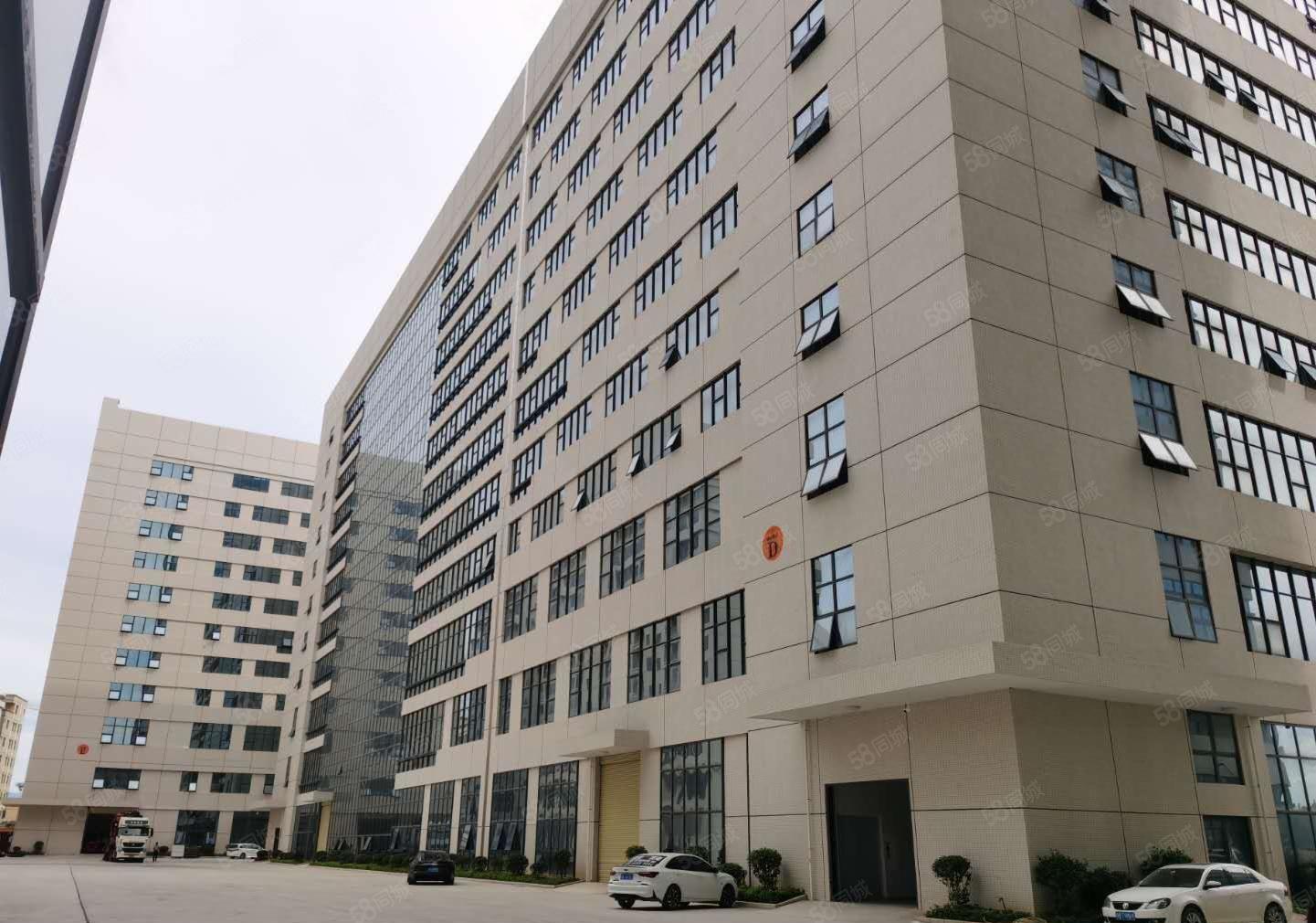 宝安新安地铁口双货梯，1000平可分租 5万办公电商科研展厅