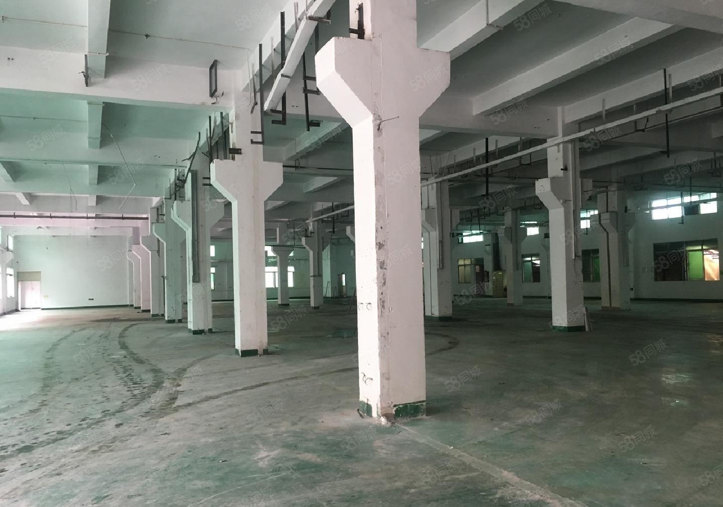 松岗新出原房东独门独院12300平方厂房招租红本