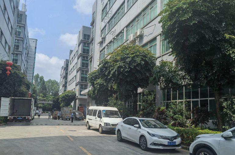 西乡新出1000平至5000平一二楼厂房仓库出租独院大小分租