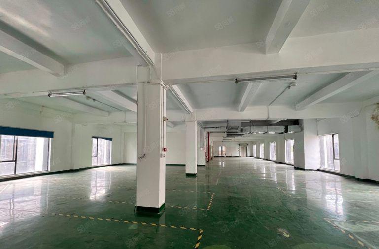 石岩创维松柏路三层小独院3000平方可分租 精装修空地大