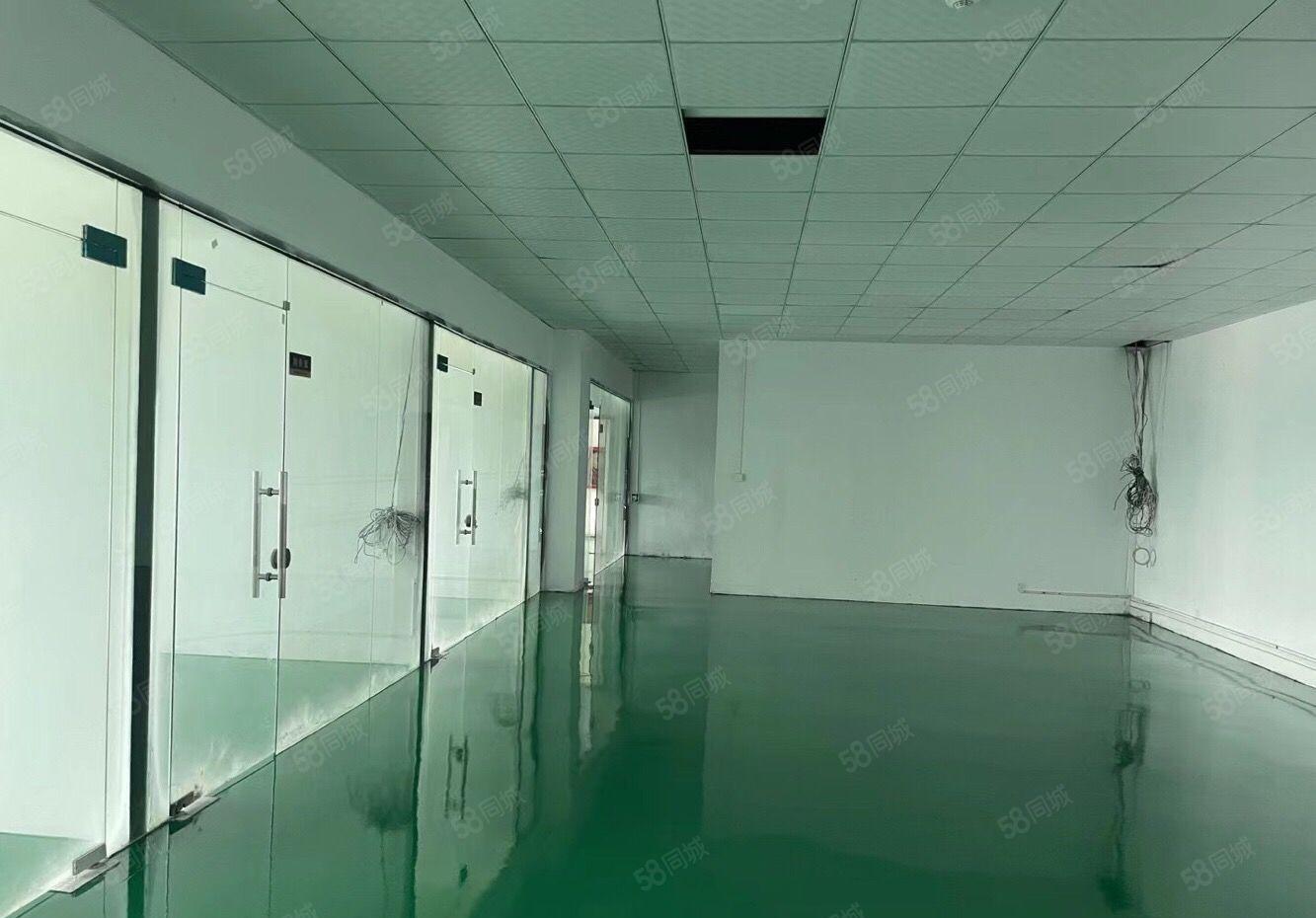 原房东石岩应人石工业区新出1000平厂房出租带装修全新地坪漆