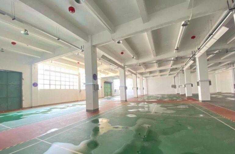 村委厂房 西乡固戍8000平高新园区生产办公研发厂房仓库