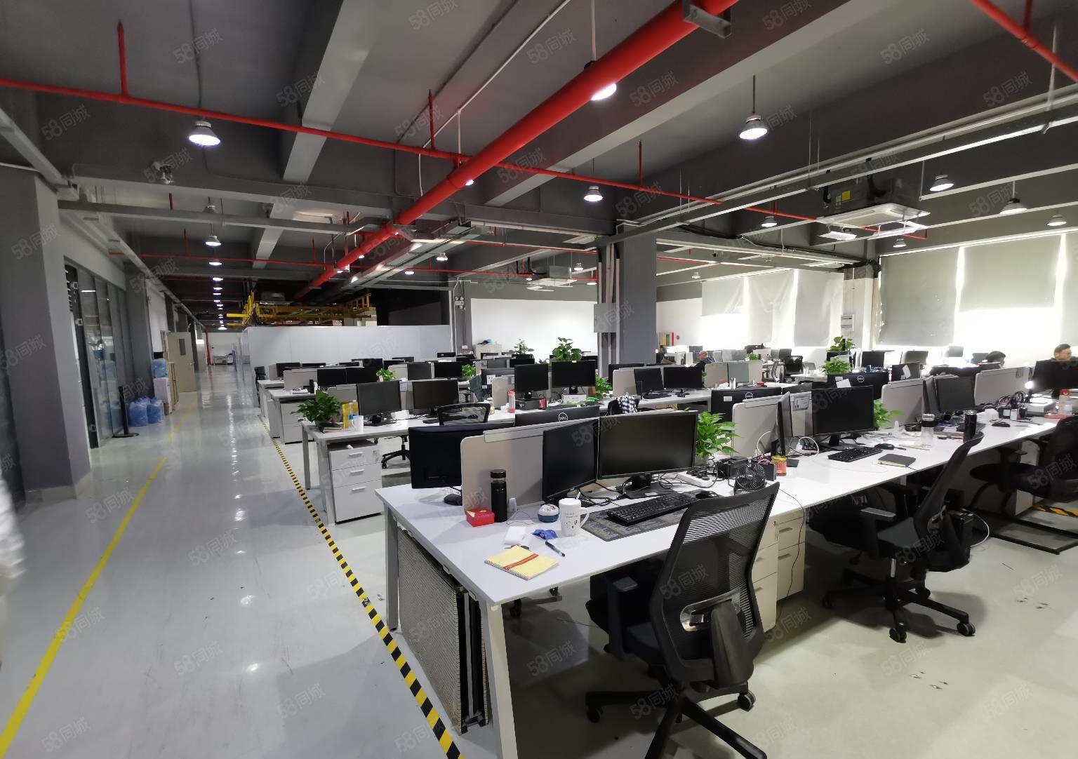 兴东整层1800平原房东红本厂房精装修车间办公室园区形象好