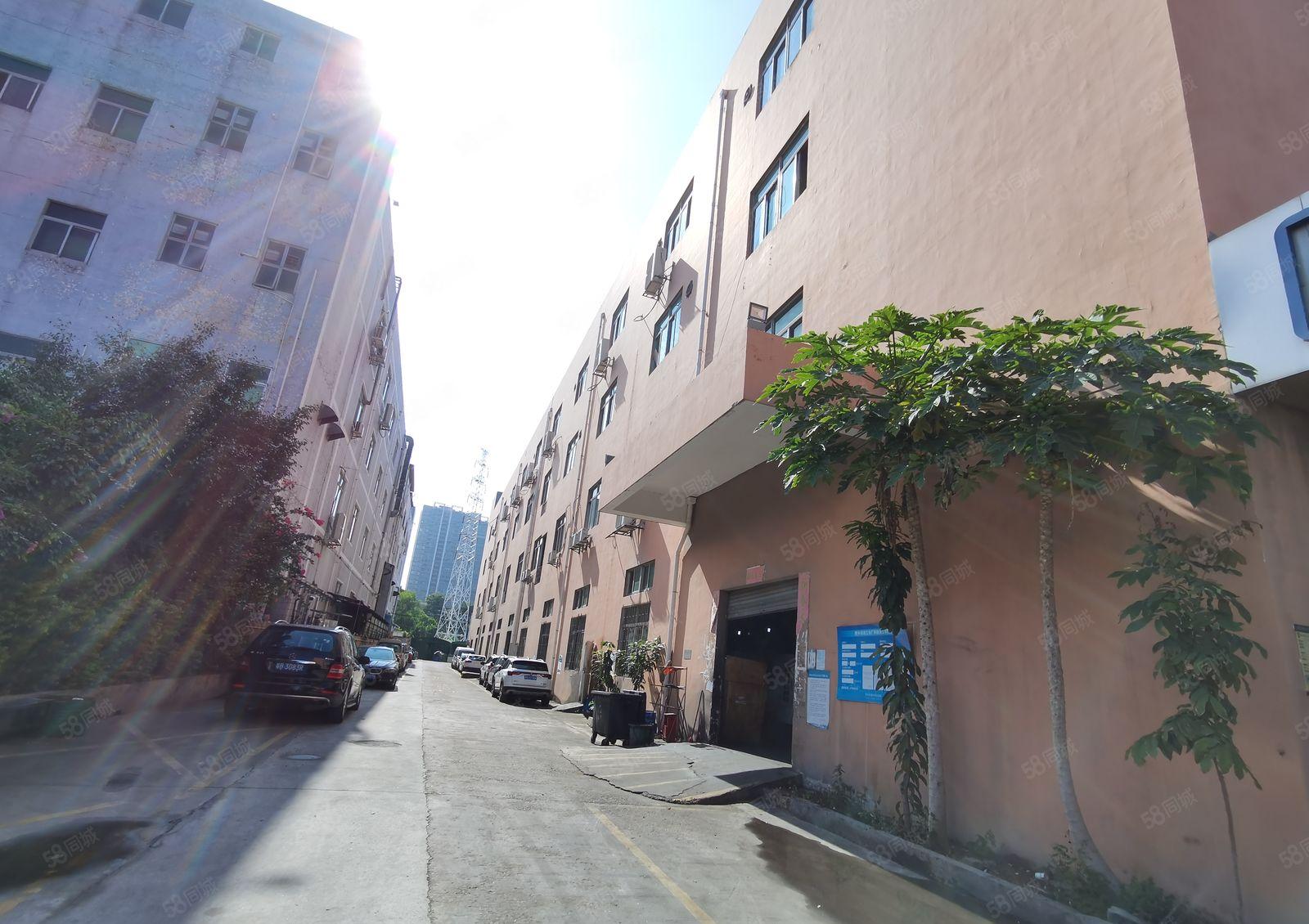 西乡整层2300平米精装厂房 无尘车间 独院园区 带2层宿舍