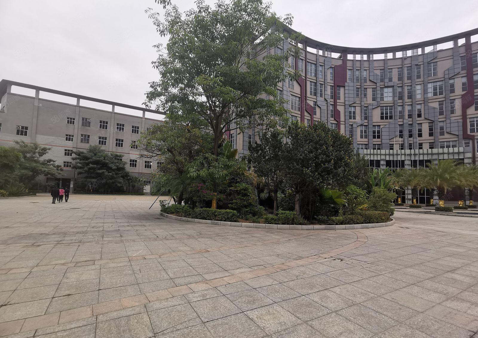 观澜章阁原房东红本独栋3层两万八千平厂房招租带卸货平台可分租