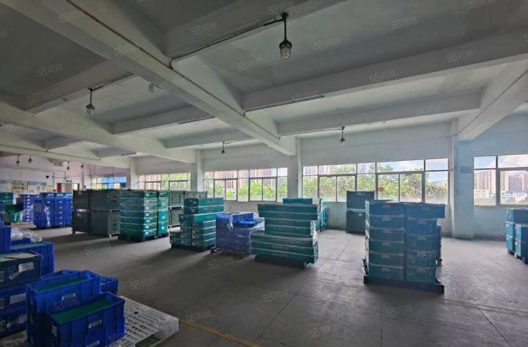 西乡黄麻布工业区一二三楼厂房出租500平1000平2000平